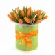 25 orange tulips in a box (imported, Netherlands)