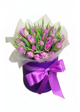 25 peony tulips in a box (imported, Netherlands)