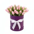 Pink tulips in a box