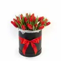Red tulips in a box