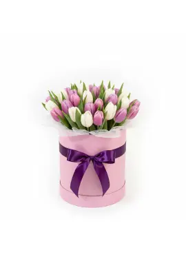 25 tender tulips in a box (imported, Netherlands)
