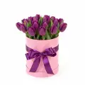 Purple tulips in a box
