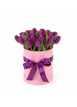 25 purple tulips in a box (imported, Netherlands)