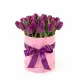 25 purple tulips in a box (imported, Netherlands)