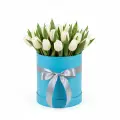 White tulips in a box