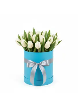 25 white tulips in a box (imported, Netherlands)