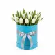 25 white tulips in a box (imported, Netherlands)