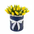 Yellow tulips in a box