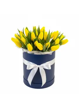 25 yellow tulips in a box (imported, Netherlands)