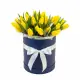 25 yellow tulips in a box (imported, Netherlands)