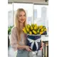25 yellow tulips in a box (imported, Netherlands)