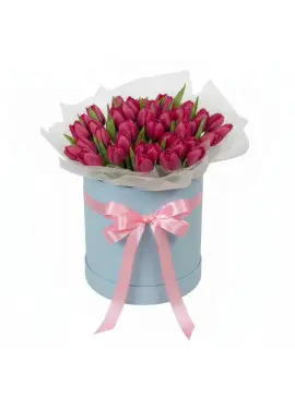 51 raspberry tulips in a box (imported, Netherlands)