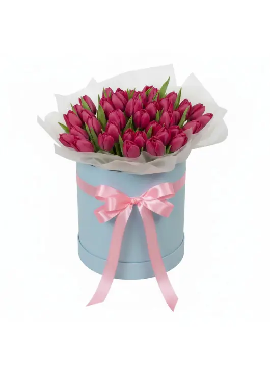 51 raspberry tulips in a box (imported, Netherlands)