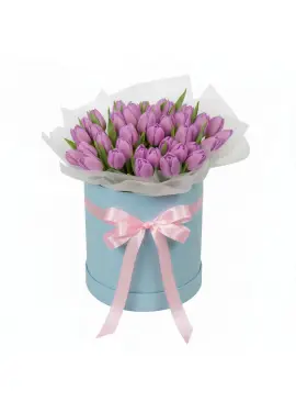 51 lilac tulips in a box (imported, Netherlands)
