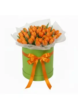 51 orange tulips in a box (imported, Netherlands)