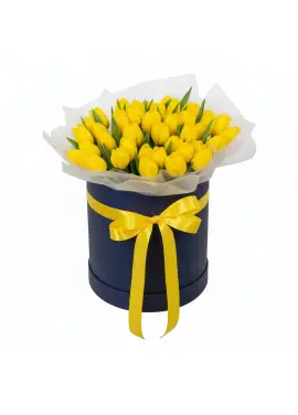 51 yellow tulips in a box (imported, Netherlands)