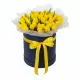 51 yellow tulips in a box (imported, Netherlands)