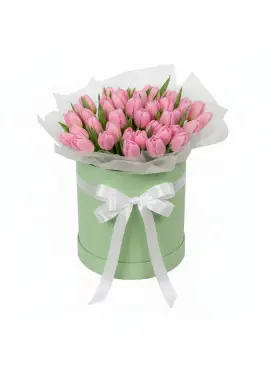 51 pink tulips in a box (imported, Netherlands)