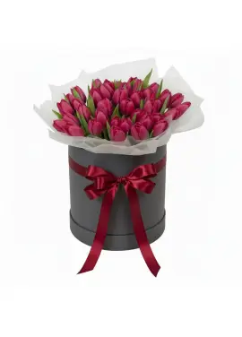 51 red tulips in a box (imported, Netherlands)