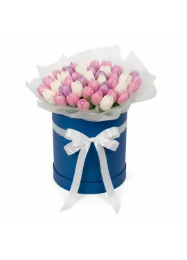51 tender tulips in a box (imported, Netherlands)