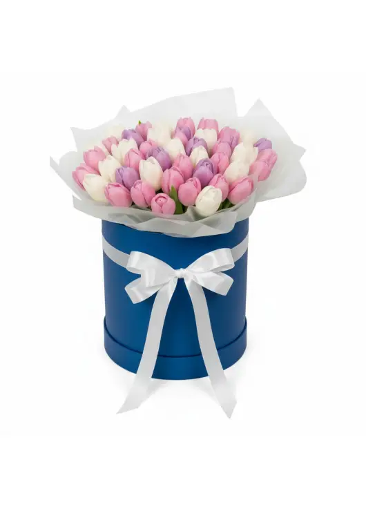 51 tender tulips in a box (imported, Netherlands)