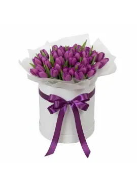 51 purple tulips in a box (imported, Netherlands)