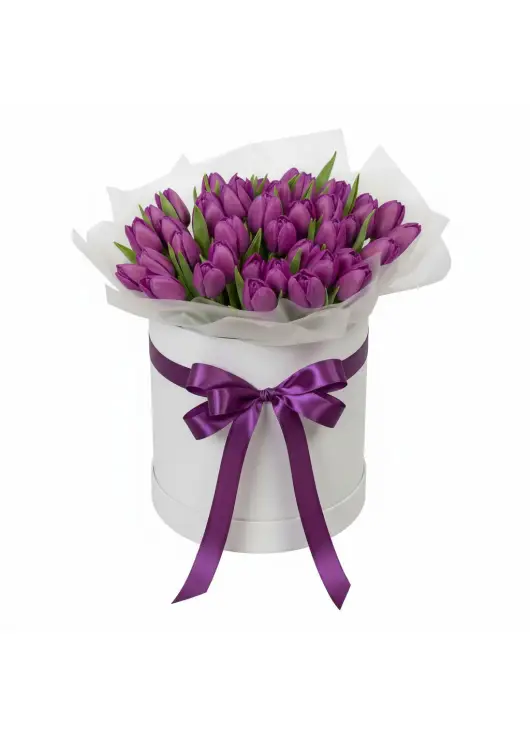 51 purple tulips in a box (imported, Netherlands)