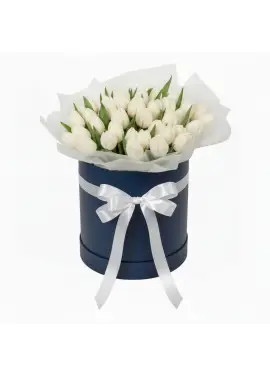 51 white tulips in a box (imported, Netherlands)