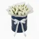 51 white tulips in a box (imported, Netherlands)