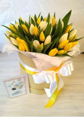 51 yellow tulips in a box (imported, Netherlands)