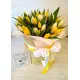51 yellow tulips in a box (imported, Netherlands)