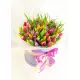 Mix Tulip in a hat box