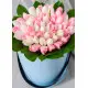White and pink tulips in a box