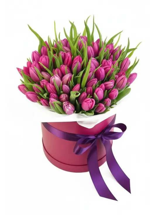 75 raspberry tulips in a box (imported, Netherlands)
