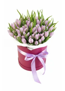 75 lilac tulips in a box (imported, Netherlands)