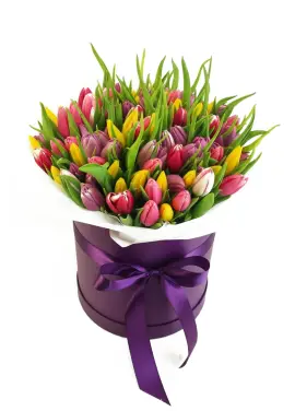 75 mixed tulips in a box (imported, Netherlands)