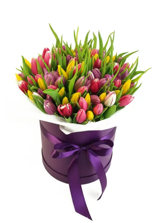 75 mixed tulips in a box (imported, Netherlands)