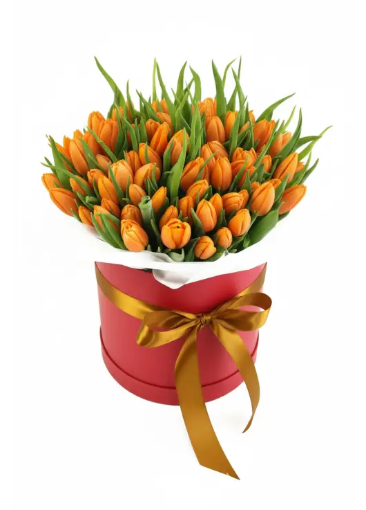 75 orange tulips in a box (imported, Netherlands)