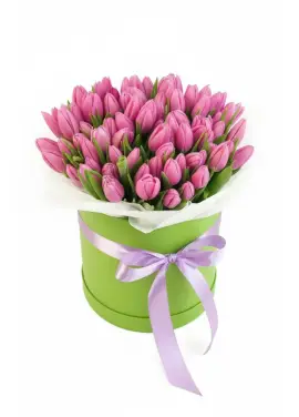 75 pink tulips in a box (imported, Netherlands)