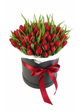 75 red tulips in a box (imported, Netherlands)