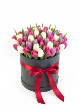 75 tender tulips in a box (imported, Netherlands)
