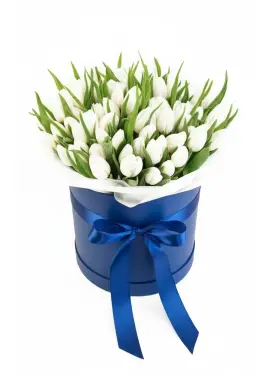 75 white tulips in a box (imported, Netherlands)
