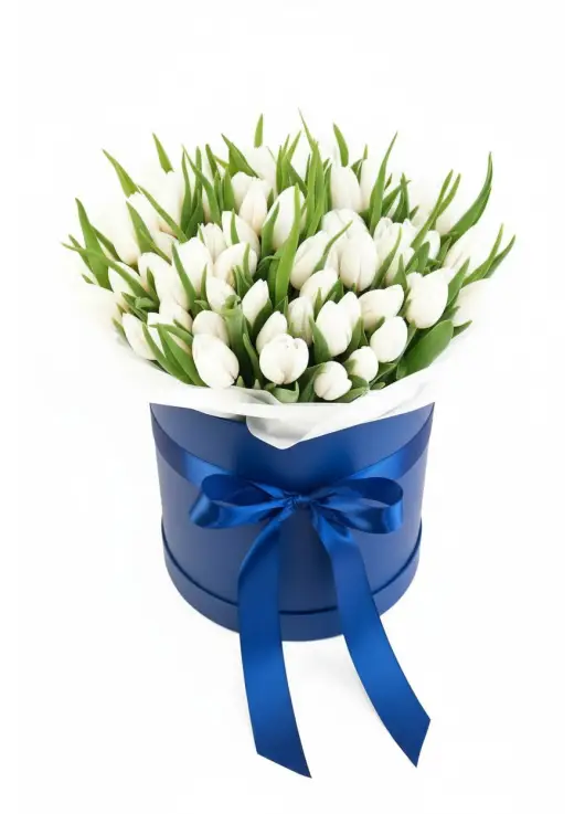 75 white tulips in a box (imported, Netherlands)