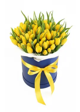 75 yellow tulips in a box (imported, Netherlands)