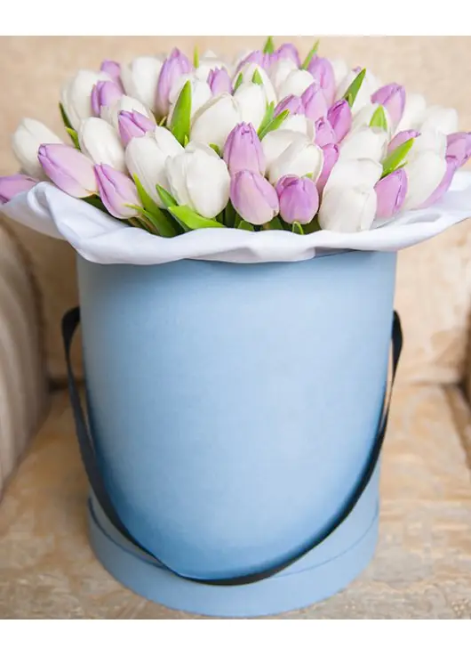 51 tender tulips in a box (imported, Netherlands)