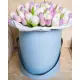 51 tender tulips in a box (imported, Netherlands)
