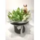 Magician hat with bunny and tulips Magician hat with bunny and tulips