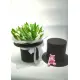 Magician hat with bunny and tulips Magician hat with bunny and tulips