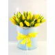 25 yellow tulips in a hat box