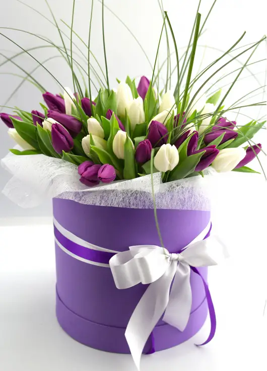 Mix Tulip in a hat box